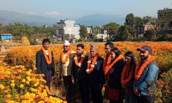 सयपत्रीको अनुगमन !