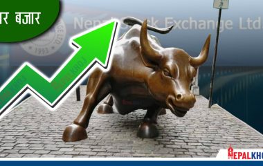 नेप्से परिसूचक सामान्य अङ्कले बढ्यो