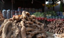 सुदूरपश्चिममा आज ‘पुसे पन्ध्र’ मनाइँदै