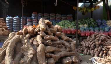 सुदूरपश्चिममा आज ‘पुसे पन्ध्र’ मनाइँदै