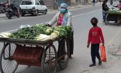 बागलुङमा अव्यवस्थित ठेलागाडा हटाउन थालियो