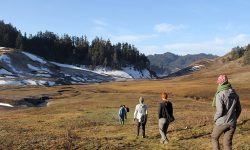 पर्यटक आगमनले पुनरुत्थान हुने अनुमान