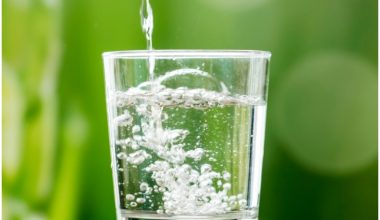 फुर्केटारीको आम्दानीको स्रोत बन्यो महभिरको पानी