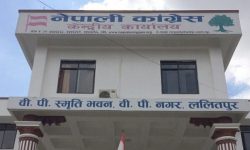 कांग्रेस केन्द्रीय कार्यसम्पादन समिति बैठक सुरु