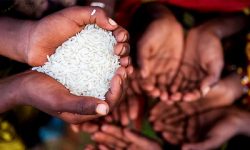 इराकी जनसङ्ख्याको एक चौथाइ गरिबीको रेखामुनि