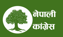 कांग्रेस संसदीय दलको बैठक बस्दै