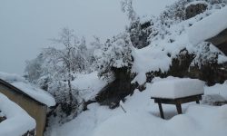 हिमपात र वर्षाले जुम्लाका किसान हर्षित