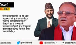 निर्देशनबाट सुधारको आशा !