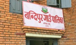 बन्दीपुर क्षेत्रका ‘होर्डिङबोर्ड हटाइँदै