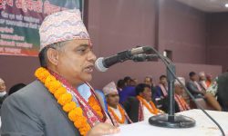 अदुवाको बीउमै दुई करोड भ्रष्टाचार, गल्याङका पूर्वप्रमुखविरुद्ध मुद्दा दायर