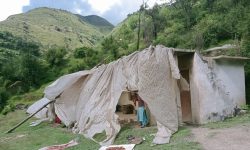 सरकारी राहतः पहिरोपीडितलाई पाँच केजी चामल