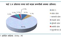 कुल कम्पनीहरु मध्ये बाग्मती प्रदेशमा मात्र ७१ प्रतिशत हिस्सा, कर्णालीमा एक प्रतिशत मात्र