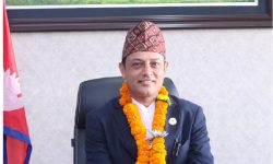 डिपी अर्याललाई कार्यवहाक सभापतिको जिम्मेवारी