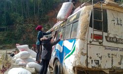 अलैँची निर्यात गर्ने तयारी गर्दै कृषक !