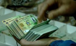 ८६ जनाको लाइसेन्स निलम्बनका लागि सिफारिस