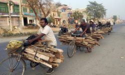 जङ्गलबाट दाउरा लिएर घर फर्किँदै युवा !