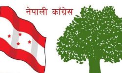 कांग्रेस नेताहरुबीच केन्द्रीय समितिको आगामी बैठक बारे छलफल