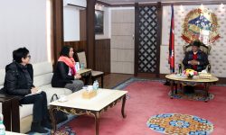 प्रधानमन्त्री दाहाल र यूरोपेली संघकी राजदूतबीच भेटवार्ता