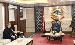 प्रधानमन्त्री दाहालसँग चिनियाँ राजदूतको भेट