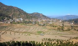 मनोरम बल्थली फाँट र बस्ती