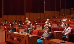 शान्तिसुव्यवस्थादेखि चिसोबाट नागरिक जोगाउन सरकारसमक्ष आग्रह