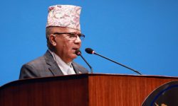 संविधानको रक्षा अहिलेको प्राथमिकता : अध्यक्ष नेपाल