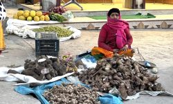 तरुलको व्यापार !