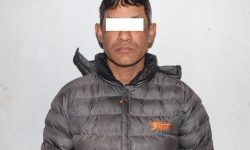 बैंकिङ कसुर मुद्दाका फरार प्रतिवादी पक्राउ