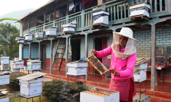 तीन सयमा सिकेको सीपबाट वार्षिक १० लाख कमाइ