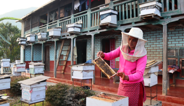 तीन सयमा सिकेको सीपबाट वार्षिक १० लाख कमाइ