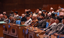 उपसभामुखको निर्वाचन माघ ७ गते