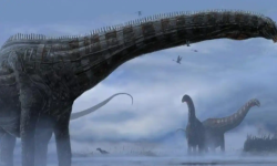 चिलीमा डाइनोसरका चार प्रजाति भेटिए