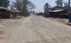 सेतुमारी बजारको अस्तित्व नै संकटमा