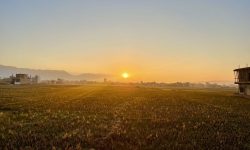 सूर्योदय !