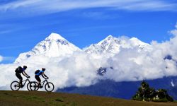 एकाउन्न दशमलव २९ प्रतिशतले ‘रिकभर’ भयो पर्यटन आगमन