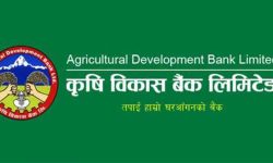 बिकास बैंकहरुको नाफा घट्यो, ६ महिनामा १४ वटाले कमाए दुई अर्ब ५८ करोड