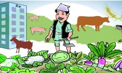 राष्ट्रिय कृषि गणनाको परिणाम माघभित्र प्रकाशन गरिने तयारी