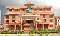 विशेष अदालतबाट फैसला भएका ६ मुद्दामा पुनरावेदन मागसहित सर्वाेच्च पुग्याे अख्तियार