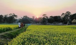 आसामभित्रको नेपाल : हटेन गोठाले दुःख, तैपनि जोगाएकै छन् पुख्यौली संस्कृति