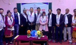 वसन्त बने गीतकार संघको अध्यक्ष