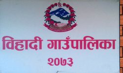 विपद्पीडितलाई ५० हजार राहत दिने विहादीको निर्णय