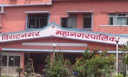विराटनगर महानगरपालिकाले नगर बस सञ्चालन गर्ने