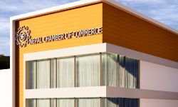 व्यवसायिक वातावरण बनाएर आर्थिक गतिविधि चलायमान बनाउन चेम्बरको आग्रह