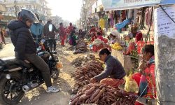 माघे सङ्क्रान्तिकाे लागि तरुल बिक्री गर्दै !