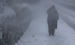 बाक्लो कुहिराेका कारण तराई मधेसको जनजीवन प्रभावित