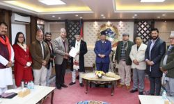 कार्यदलले शीर्ष नेतालाई बुझायो साझा कार्यक्रमको मस्यौदा