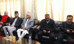 प्रतिनिधिसभामा दलको भूमिकालाई सशक्त बनाउने कांग्रेसको निर्णय