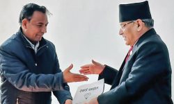 नेकपा बहुमतको प्रस्ताव- भृकुटी कागज कारखाना सञ्चालनको जिम्मा देऊ