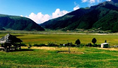 चिसो बढेपछि सुनसान छ ढोरपाटनको बुकी क्षेत्र