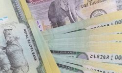 अर्थतन्त्रका केही प्रमुख क्षेत्रमा गर्नुपर्ने सुधार